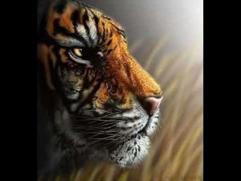 dj erdi mix 2010.wmv