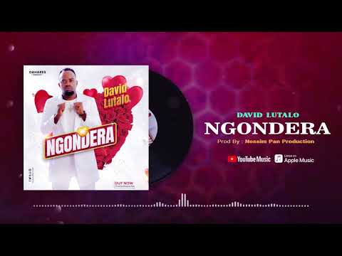 Ngondera 🧡 - David Lutalo [Official Music Audio]