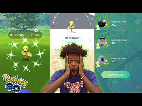 500,000 Stardust, Shundo Hunting & More! Bellsprout Community Day Vlog #pokemongo #pokemon #shundo