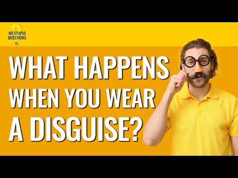 217. What Happens When You Put on a Costume? | No Stupid Questions