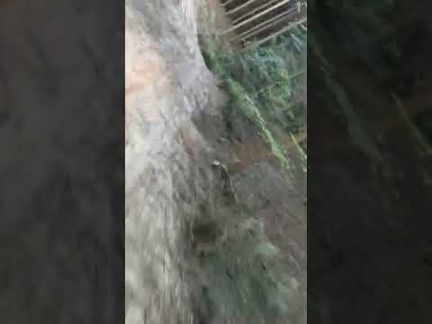 Fiat Cinquecento wyprawa gruzem po lesie cz.2 GoPro 11