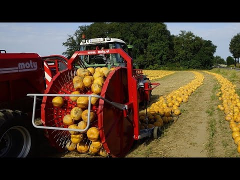 COLHEITADEIRAS INCRÍVEIS MAQUINAS GENIAIS AGRICULTURA MODERNA