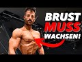 Brust Training 4-Mal pro Woche! (Muskelaufbau ERZWINGEN!)