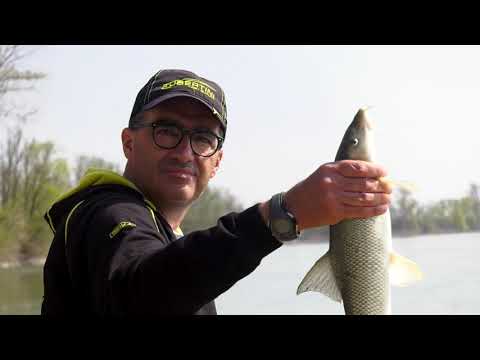 Roubasienne nel fiume Po (Tubertini)