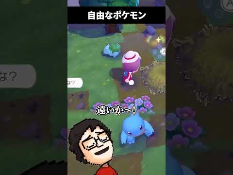 行動が自由すぎるカントー御三家 #shorts #ぽこあポケモン #vtuber #ゲーム実況