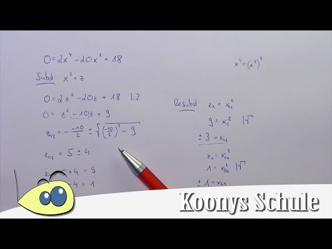 Nullstellen von f(x) = 2x⁴ - 20x² + 18 bestimmen, biquadratische Funktion, Substitution