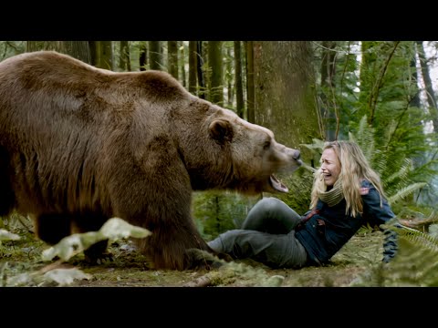 They Entered the Forest… But the Grizzly Was Already Hunting – Into the Grizzly Maze