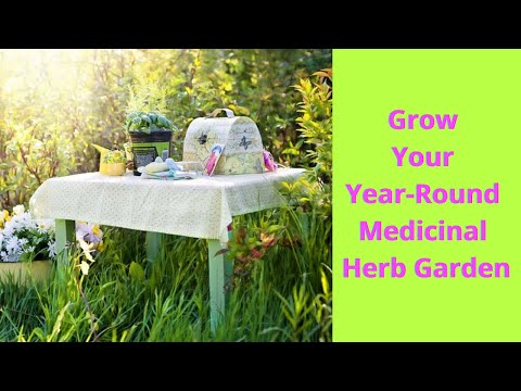🪴How to Grow a Year-Round Medicinal Herb Garden