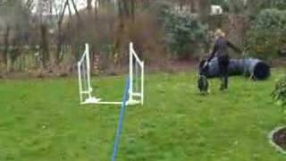 preview picture of video 'Breezy 9 ½ month. puppy agility. April 2008.'