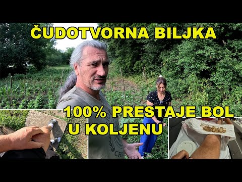 BOL U KOLJENU  - nevjrovatan lijek - VEOMA BRZO IZLIJEČITE KOLJENO I ZGLOBOVE