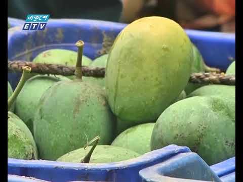 রাজশাহীতে আম পাড়া ও বিক্রির ধুম