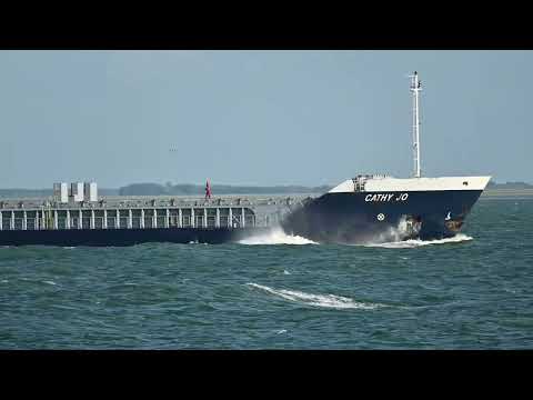 Ship movements / Western Scheldt / Between Rotterdam and Antwerp / Shipspotting