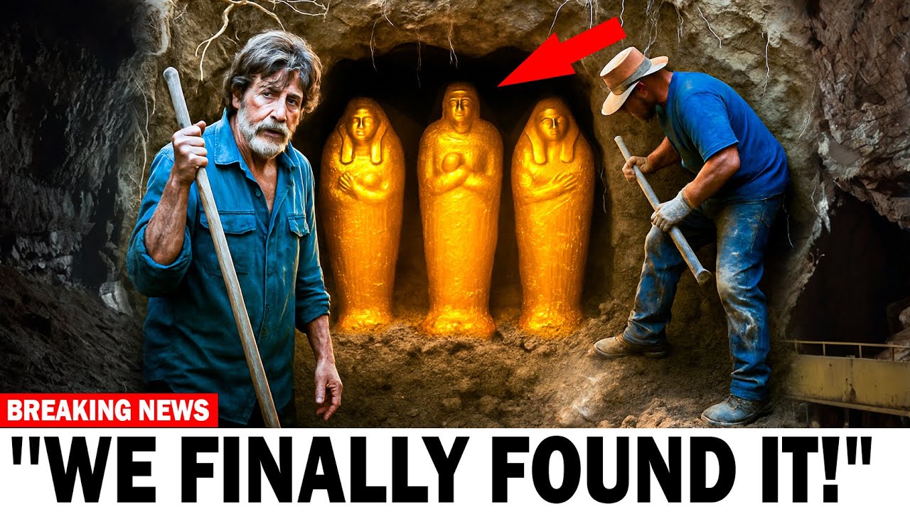 YouTube Thumbnail Downloader FULL HQ IMAGE