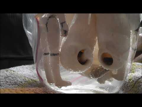 De-yellowing Vintage Star Wars Hoth Wampa & Taun Taun experiment