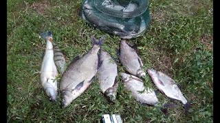Рыбалка в бешенцево алтайского края