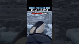 너희들 말로만 듣던 휴먼?