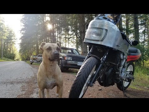 My New $900 Bike - Sink or Swim 155