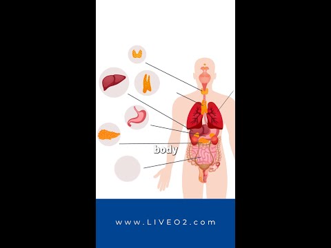 Detox Is Essential &mdash; LiveO2 Whole Body Flush Can Help