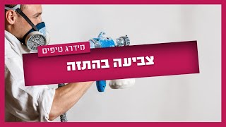 צביעה בהתזה