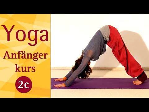2C Anfänger Yoga Sequenz: Berghaltung, Sonnengruß und Drehung - Yoga Vidya Anfängerkurs