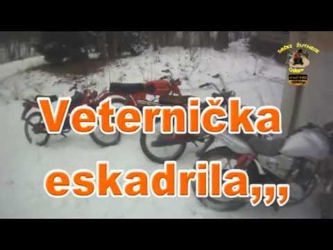 298.DEČKI ŽUTNICE - Ivanjščica 2014. Bubo i ZVIJER