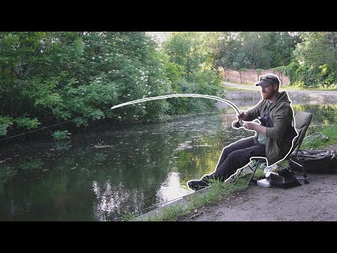 Tricking Big Canal Fish With This Simple Overlooked Method!