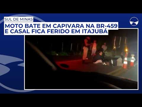 Moto bate em capivara na BR-459 e casal fica ferido em Itajubá