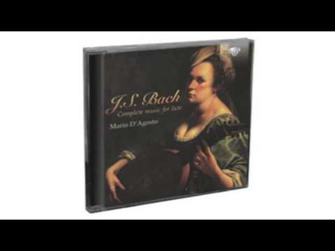 J.S. Bach - Complete Music for Lute  Brilliant Classics  2CD  94408