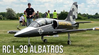 Giant RC Jet L-39 Albatros Breitling Team Fine Scale Model Turbine Driven Flying At Flight Show