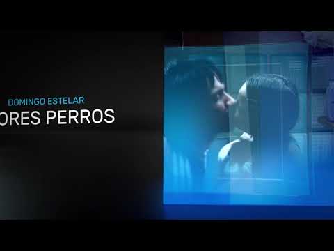 Amores perros/El Desconocido Segunda Temporada VER.20