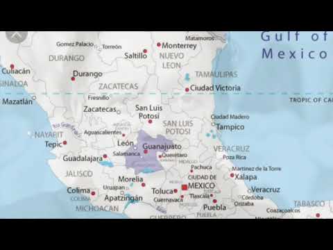 Diego Rivera-Elena Bertino