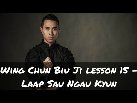 Wing Chun Biu Jee (Biu Ji ) Third Form - lesson 15