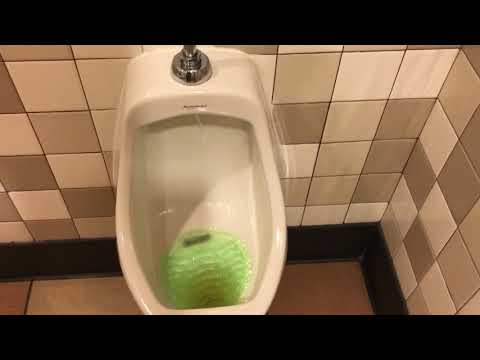 Del Taco Men's And Women's Restroom Full Shoot.