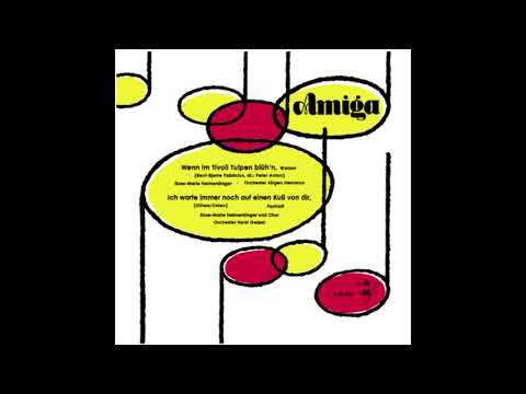 Rose Marie Heimerdinger - Ich warte immer noch auf einen Kuß von dir