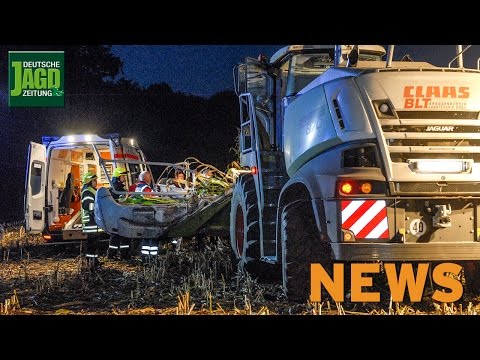 Horror-Unfall bei Erntejagd, Problemwolf Vechta und Frischling Regina  - DJZ NEWS KW41/2015