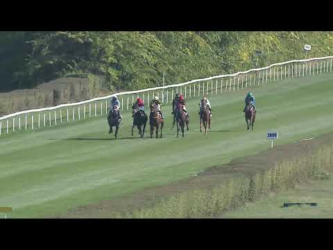 2021.10.17. 01. futam - NYERETLEN KÉTÉVESEK VERSENYE (IV.kat.)