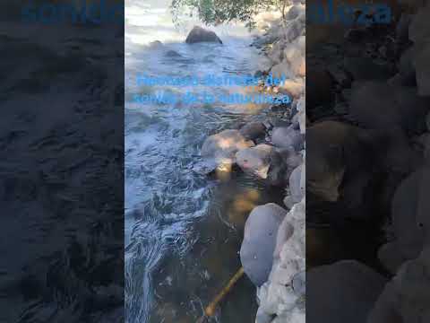 Rio de Jesús de Otoro