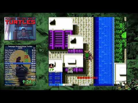 [World Record] Turtles 100% Speedrun in 33:48