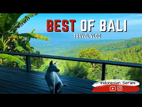 BALI IS BACK - WATERFALLS | TEMPLES & THE BEST PLACE TO STAY