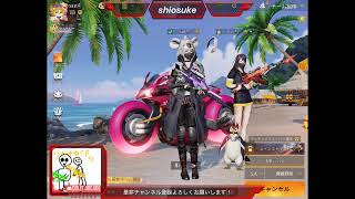 ゲリラ配信