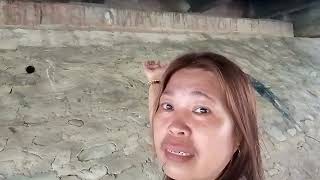 ipapakita ko sa Inyo ang tulay na Ng silbing silungan ko noon