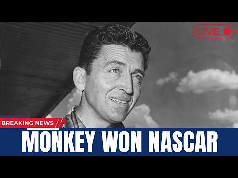 Il momento più folle della NASCAR! La scimmia che ha vinto una gara di sempre🔴 NOTIZIE DELL'ULTIM...