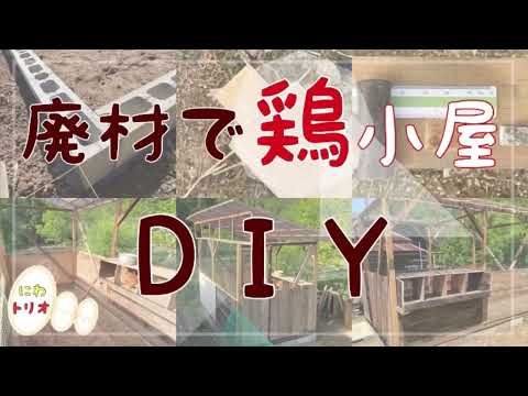 鶏小屋で珪藻土を使用するにはどうすればよいですか?利点と使用方法  庭園