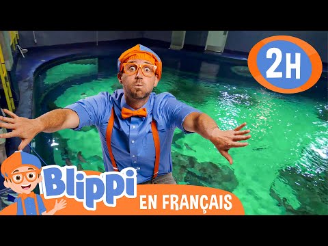 Blippi visite un aquarium (Ody Aquarium)  | Blippi en français | Vidéos éducatives pour enfants