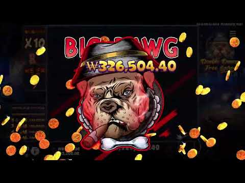 '더 빅 도그스' 대박 당첨 동영상