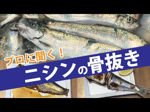 市場のプロに聞く！ニシンの上手な食べ方！