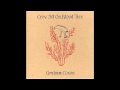 Graham Coxon: You Never Will Be 