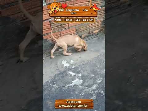 Vídeo de Por enquanto não tem 