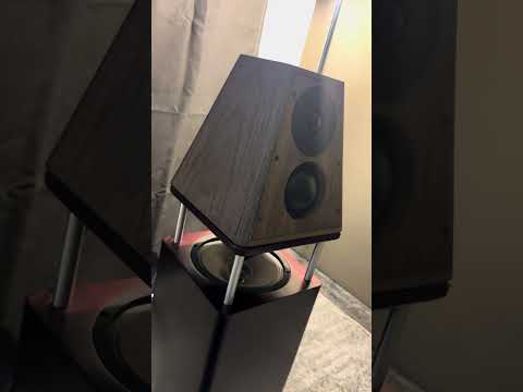 Brunoco OmniOne loudspeakers 🔊🔥 #loudspeakers #bass #highendaudio #audiophile