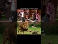 AbhishekBajaj Truly Stood Out In The Task He Played Brilliantly BaseerAli BiggBoss19 Shorts
